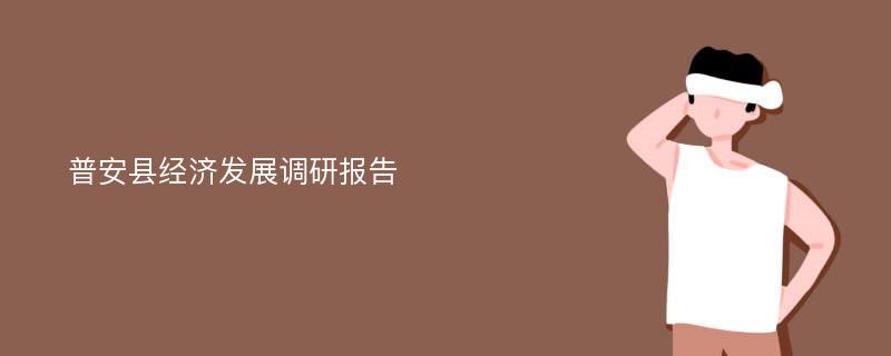 普安县经济发展调研报告