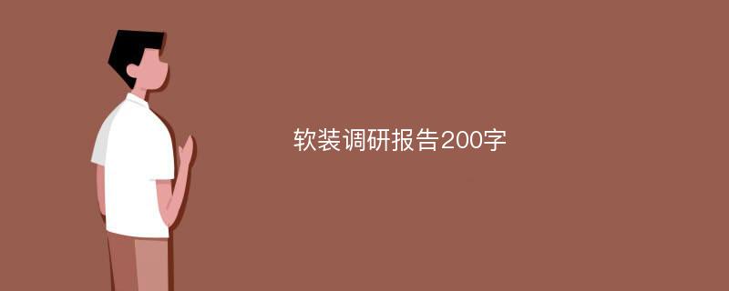 软装调研报告200字